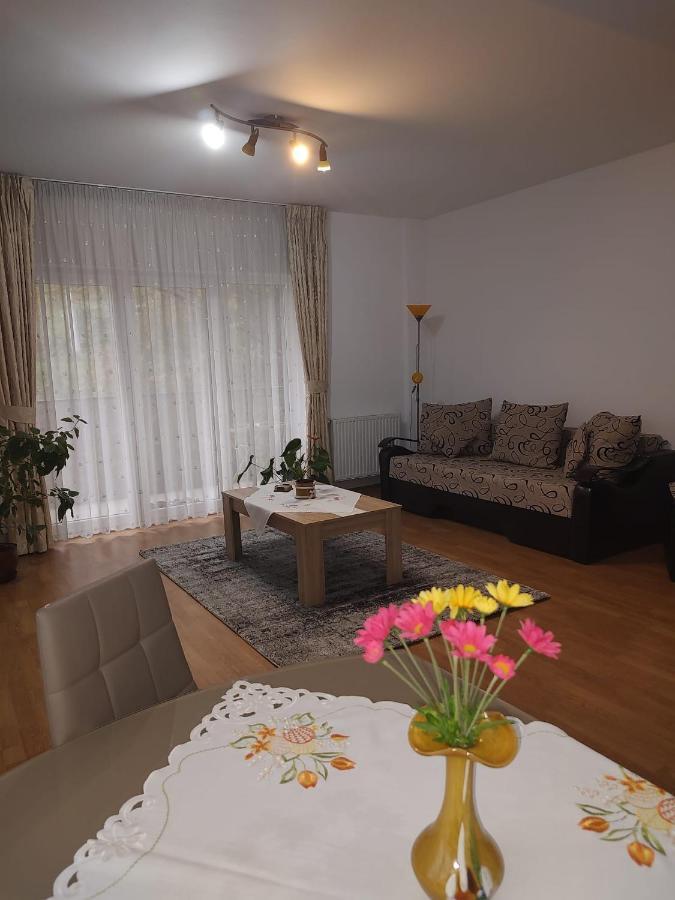 Cosy Apartment I Târgu-Mureş Exterior foto